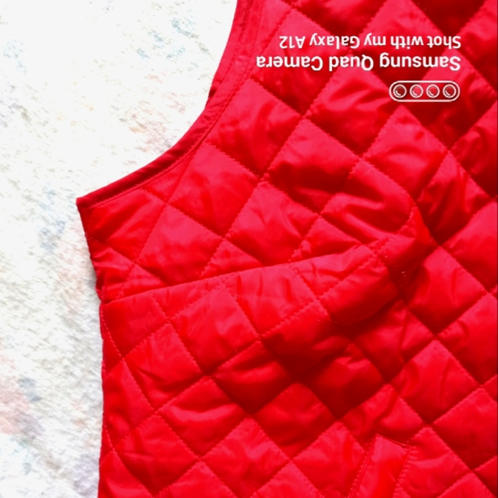 Red Ski Jacket Vest - image 5